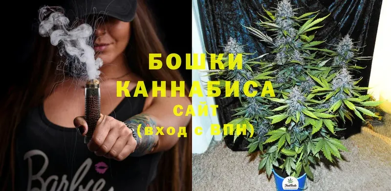 Каннабис White Widow  Руза 